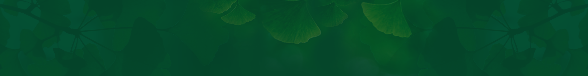 公司資質(zhì)